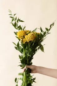 Прайс от 2000